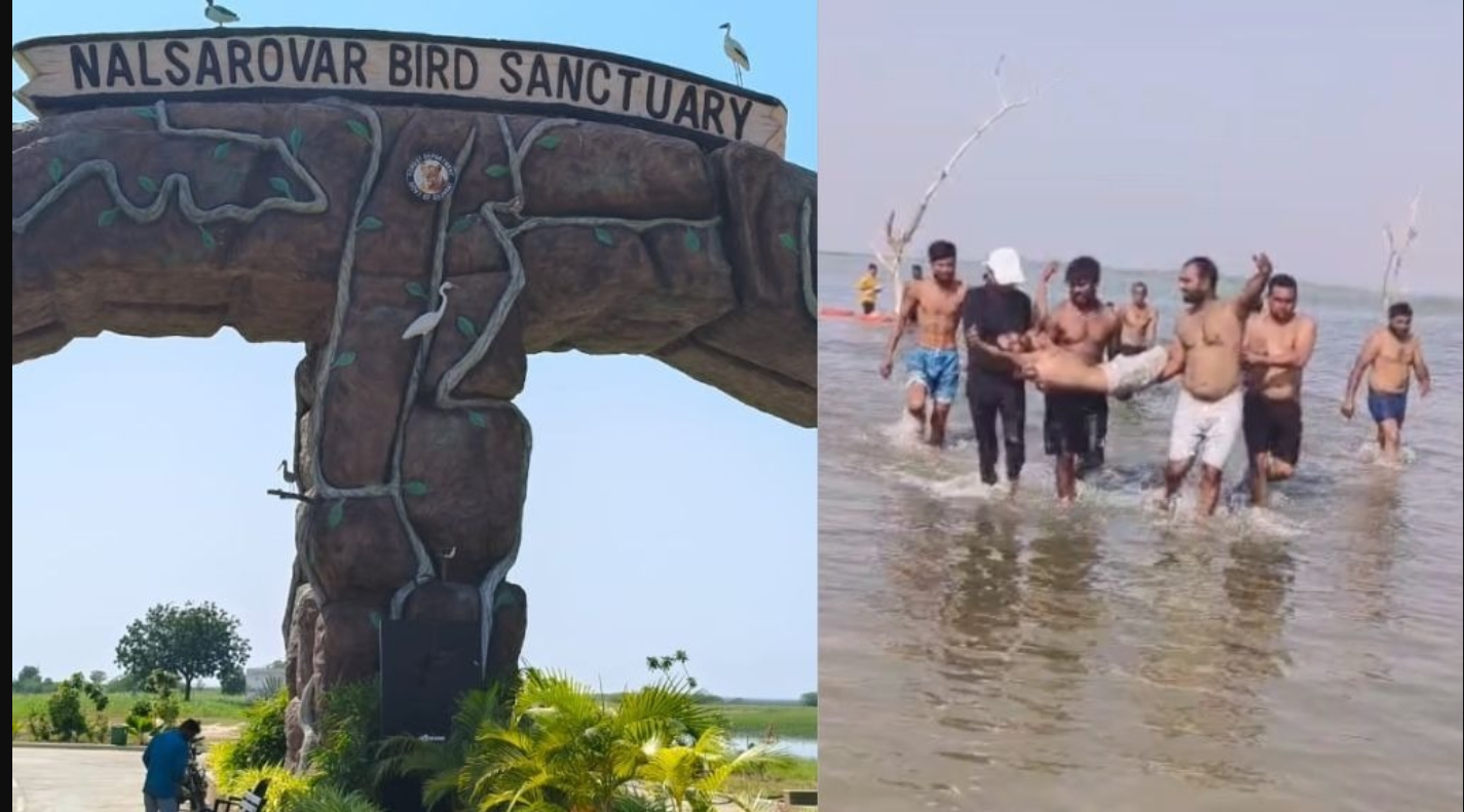 Nalsarovar: નળ સરોવરમાં નાવિક તાલીમ દરમિયાન અકસ્માત. એક યુવક ડૂબી ગયો, ગંભીર હાલતમાં હોસ્પિટલમાં દાખલ