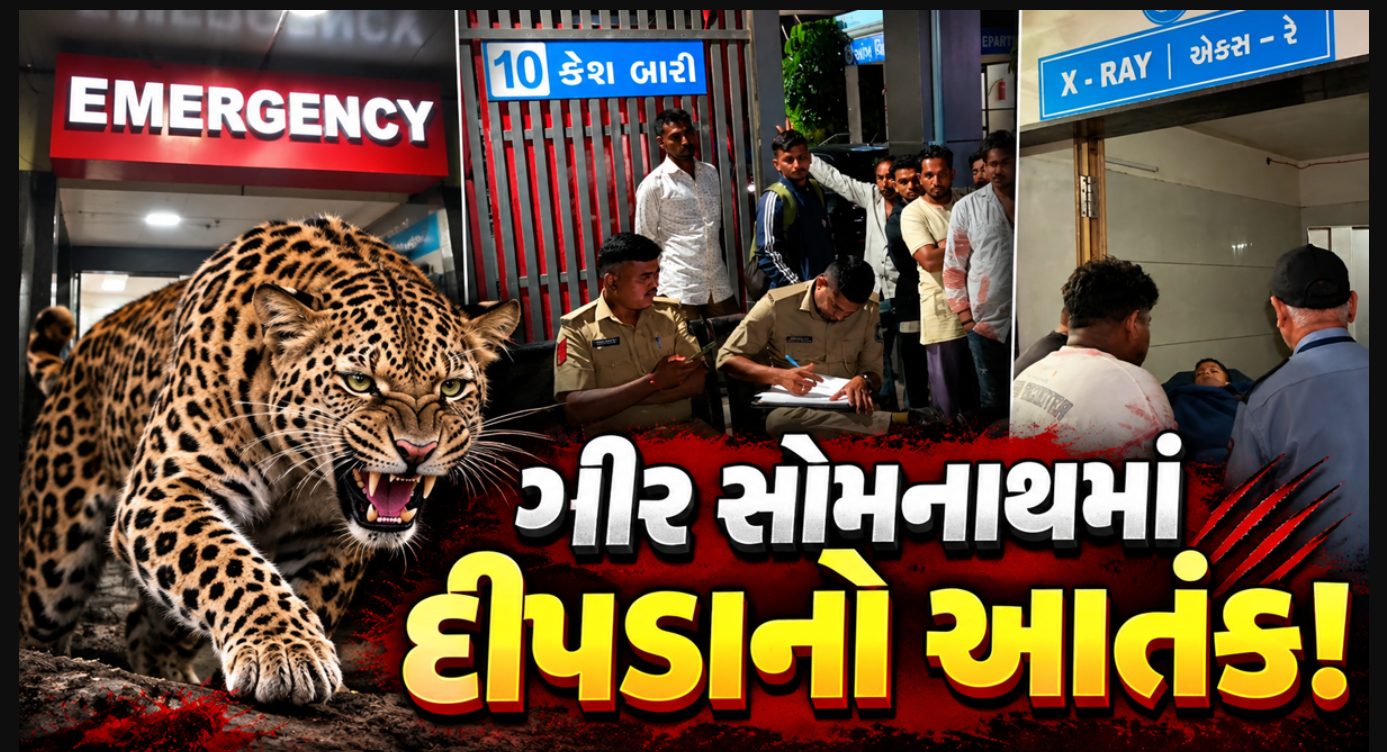 Gir Somnath: ઉનાના નંદન ગામમાં દીપડાનો આતંક! 10 વર્ષના છોકરા પર હુમલો, ગળામાં ગંભીર ઈજા
