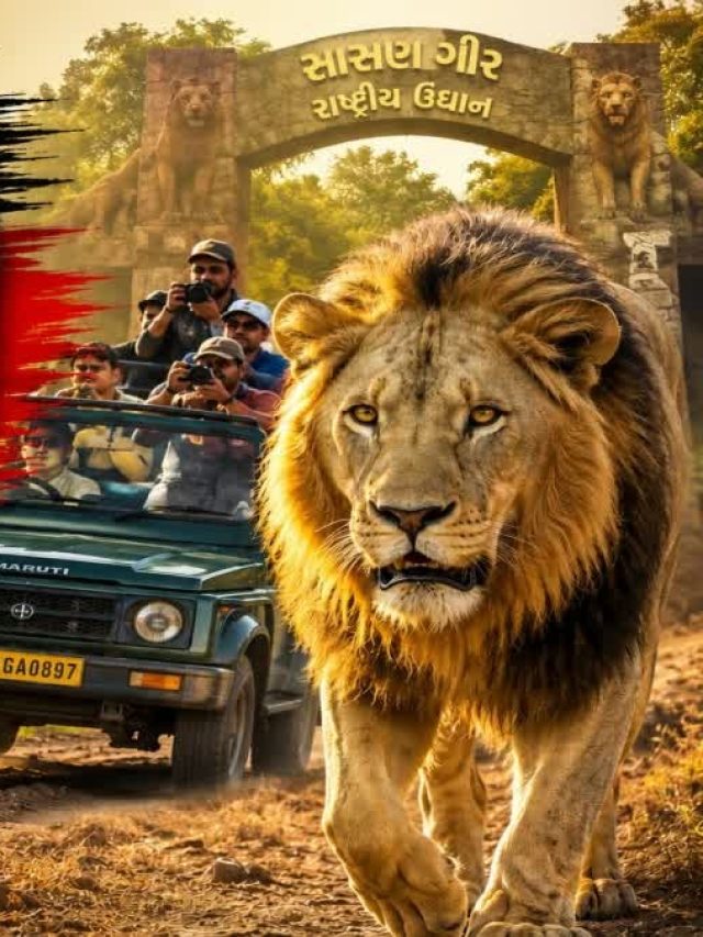ગુજરાતના નેશનલ પાર્ક 9 ઓક્ટોબરથી પ્રવાસીઓ